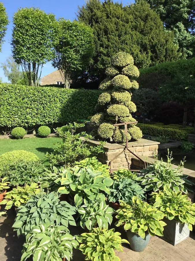 *****  Cononley Hall Bed & Breakfast Velká Británie